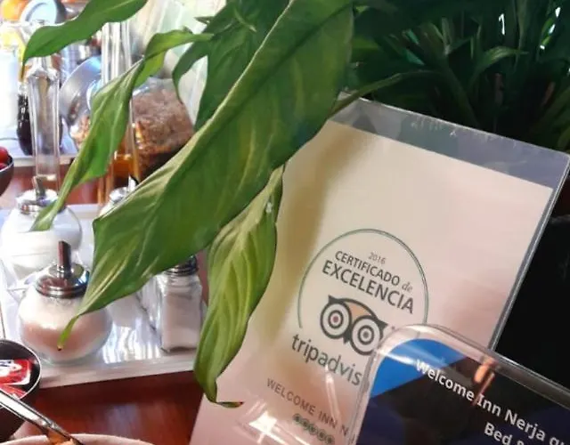 Welcome Luxury Guest house